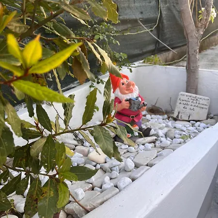 Pensionat Casa Contrada Molinello 3*